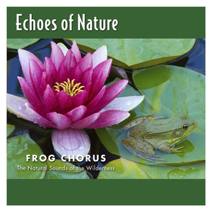 亚洲五月天综合
